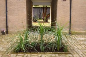 Photo 1- click for photo gallery